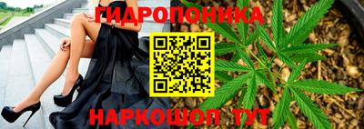 гашиш Кимры
