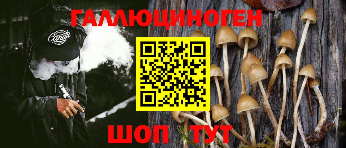 Кандалакша  Псилоцибиновые грибы GOLDEN TEACHER  Вход с VPN 