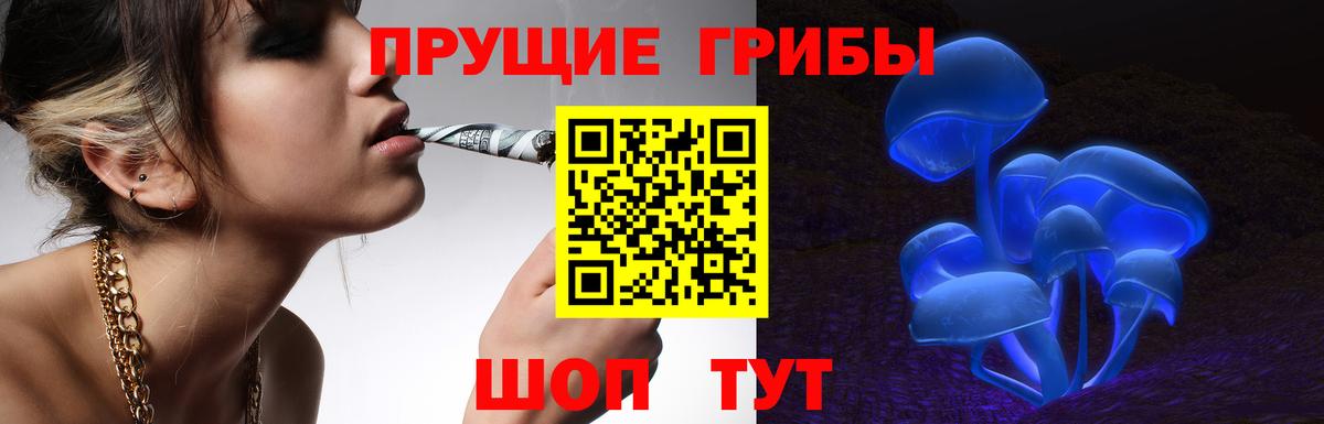 Псилоцибиновые грибы Cubensis Кандалакша